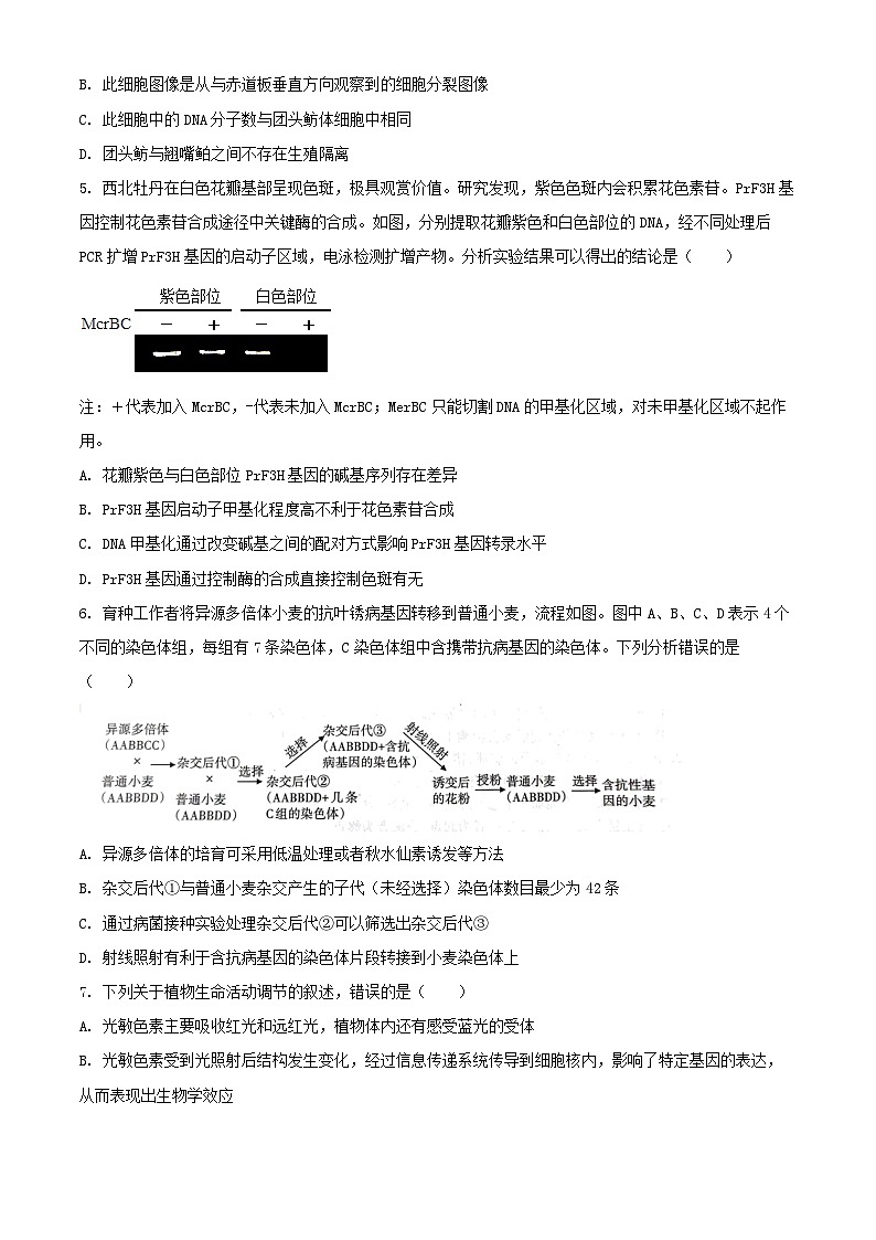 山西省长治市2024_2025学年高三生物上学期9月质量监测试题含解析第2页