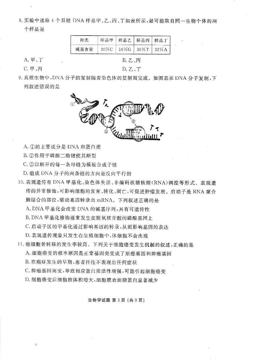 广东省部分学校2024-2025学年高一下学期6月月考生物试题（PDF版附解析）第3页