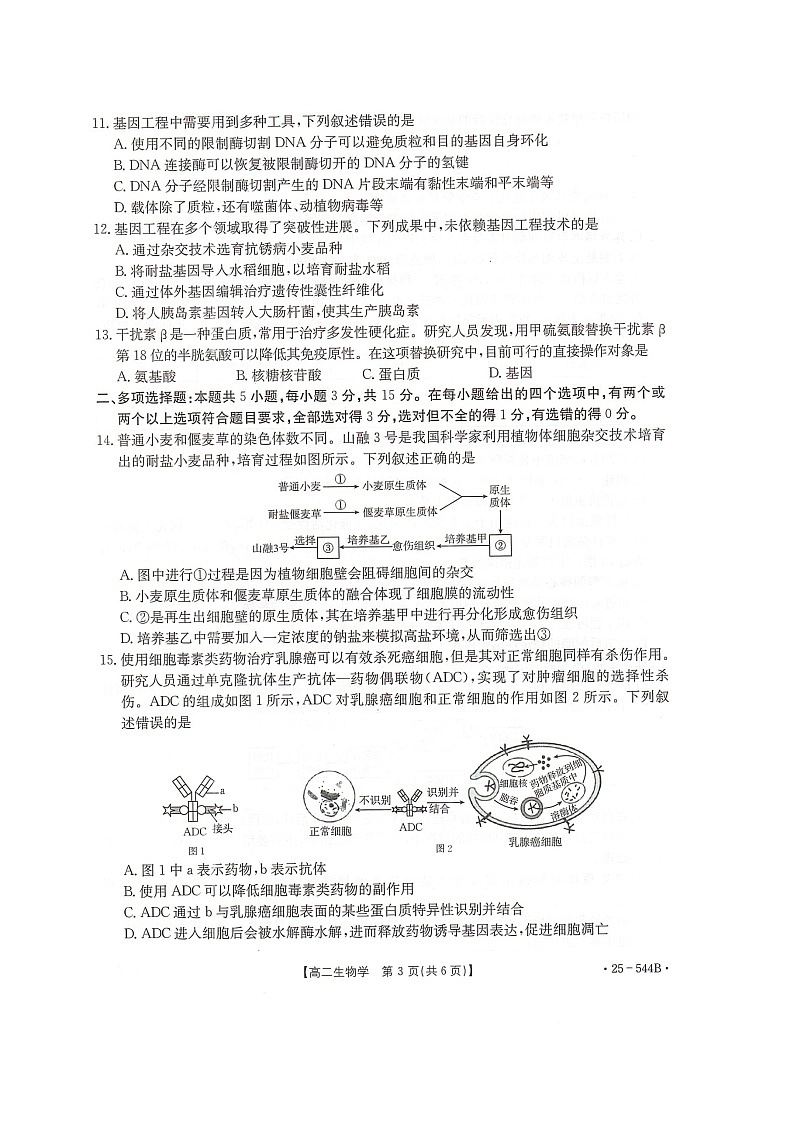 河北省邢台市卓越联盟2024-2025学年高二下学期6月月考生物试题第3页