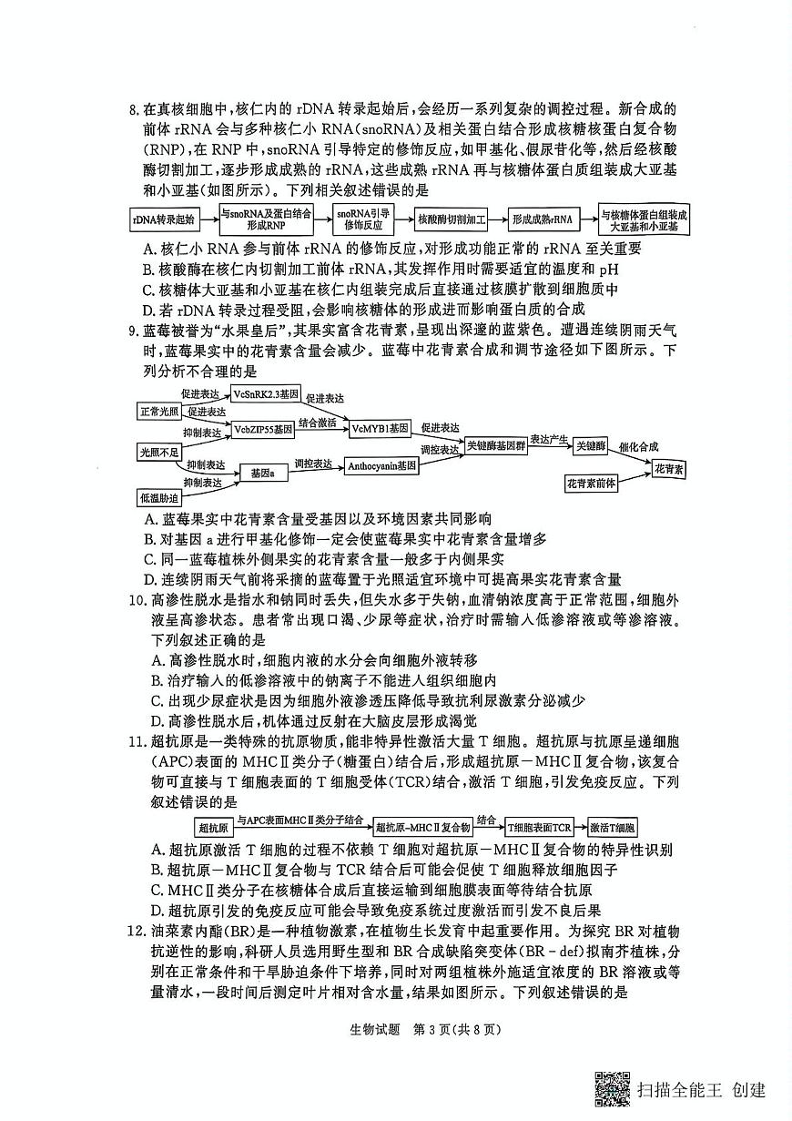 生物-河南省青桐鸣大联考2025年6月高二下学期月考第3页