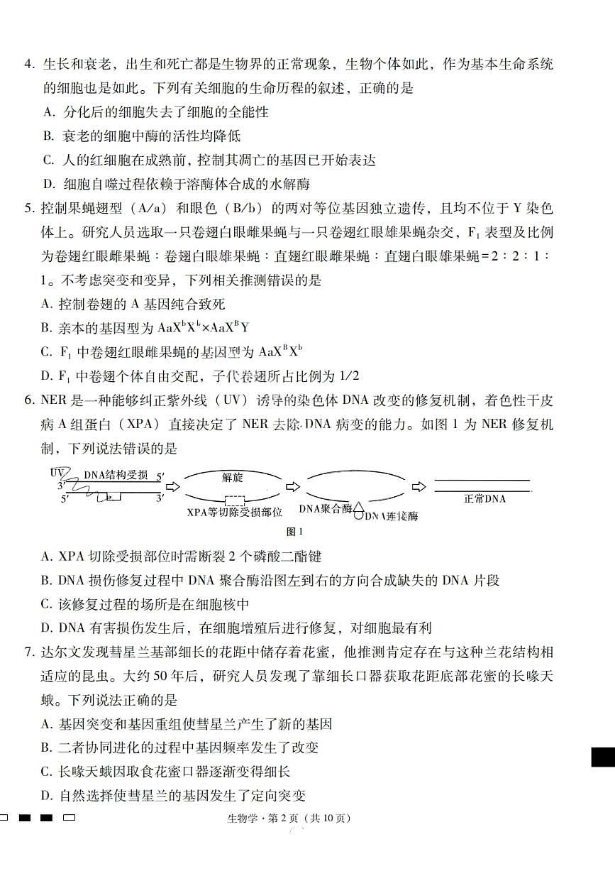 云南省三校2024-2025学年高二下学期6月高考备考实用性联考（一）生物试题（PDF版附解析）第2页