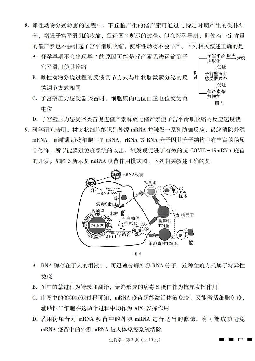 云南省三校2024-2025学年高二下学期6月高考备考实用性联考（一）生物试题（PDF版附解析）第3页
