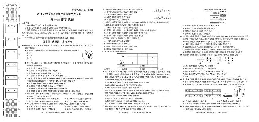 陕西省多校2024-2025学年高一下学期6月月考生物试题（PDF版附答案）第1页