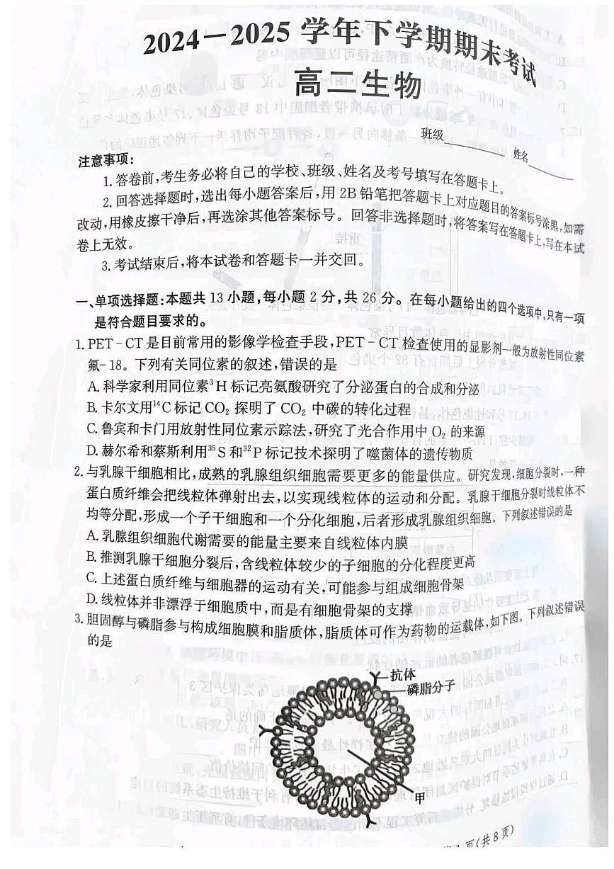 河北省省级联测2024-2025学年高二下学期6月期末考试生物（含答案）第1页