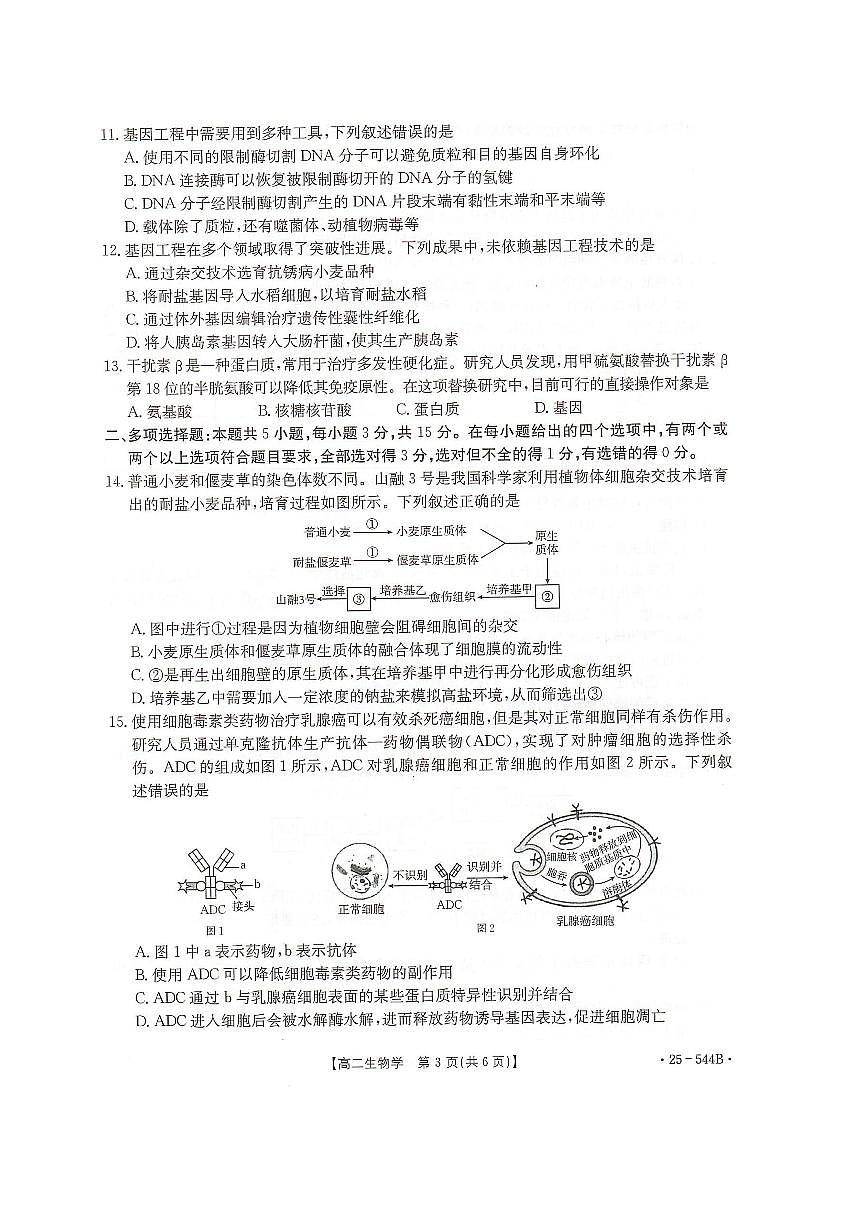 河北省邢台市卓越联盟2024-2025学年高二下学期第三次考试（6月）生物试卷（含答案）.pdf第3页