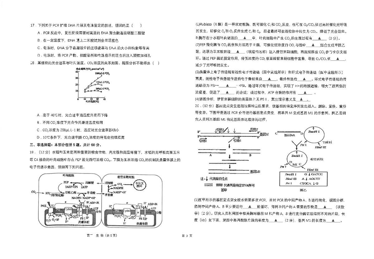 江苏省南通市海安高级中学2024-2025学年高二下学期6月月考生物试题（含答案）第3页