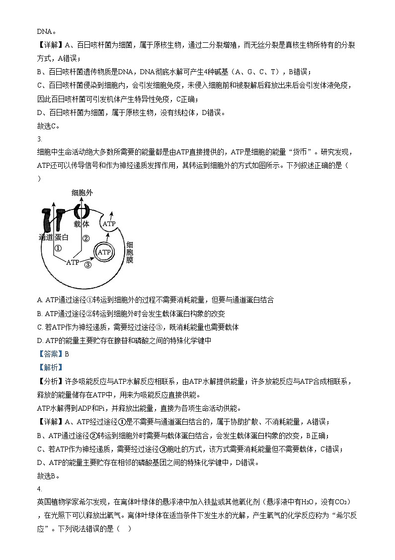 江苏省扬州市广陵区2024_2025学年高三生物上学期10月月考试题含解析第2页