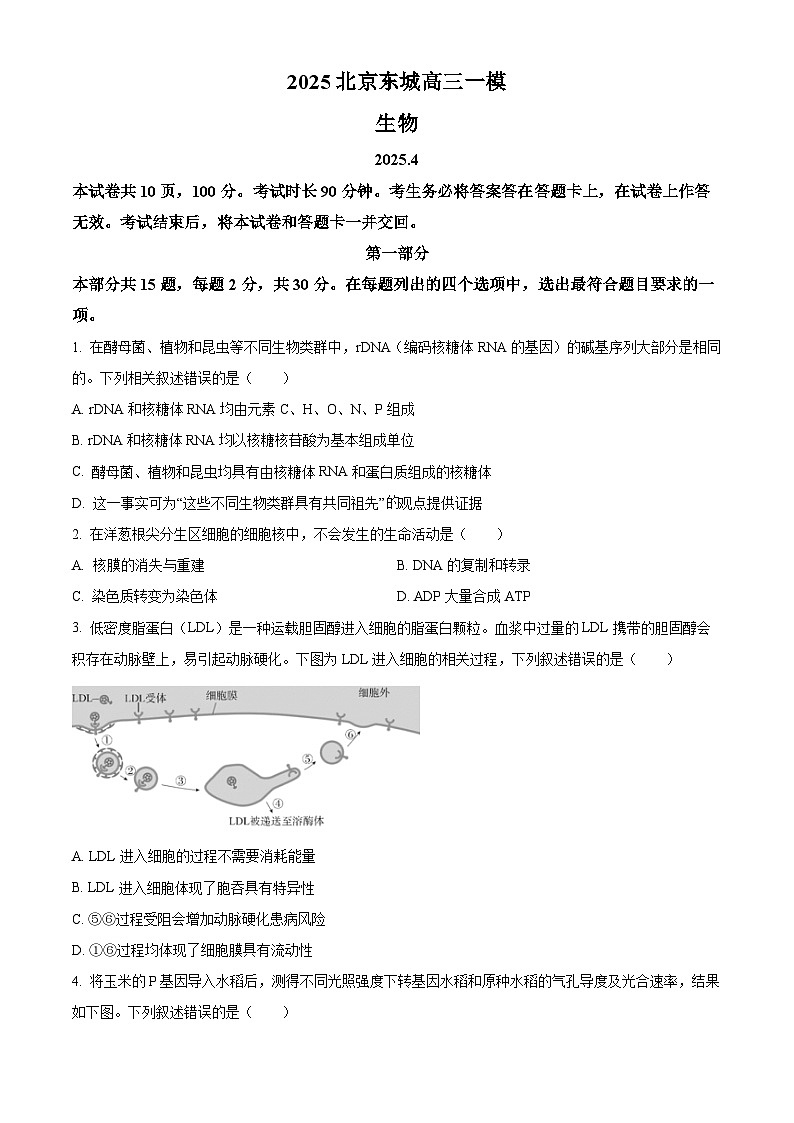 2025届北京市东城区高三一模生物试题 Word版无答案第1页