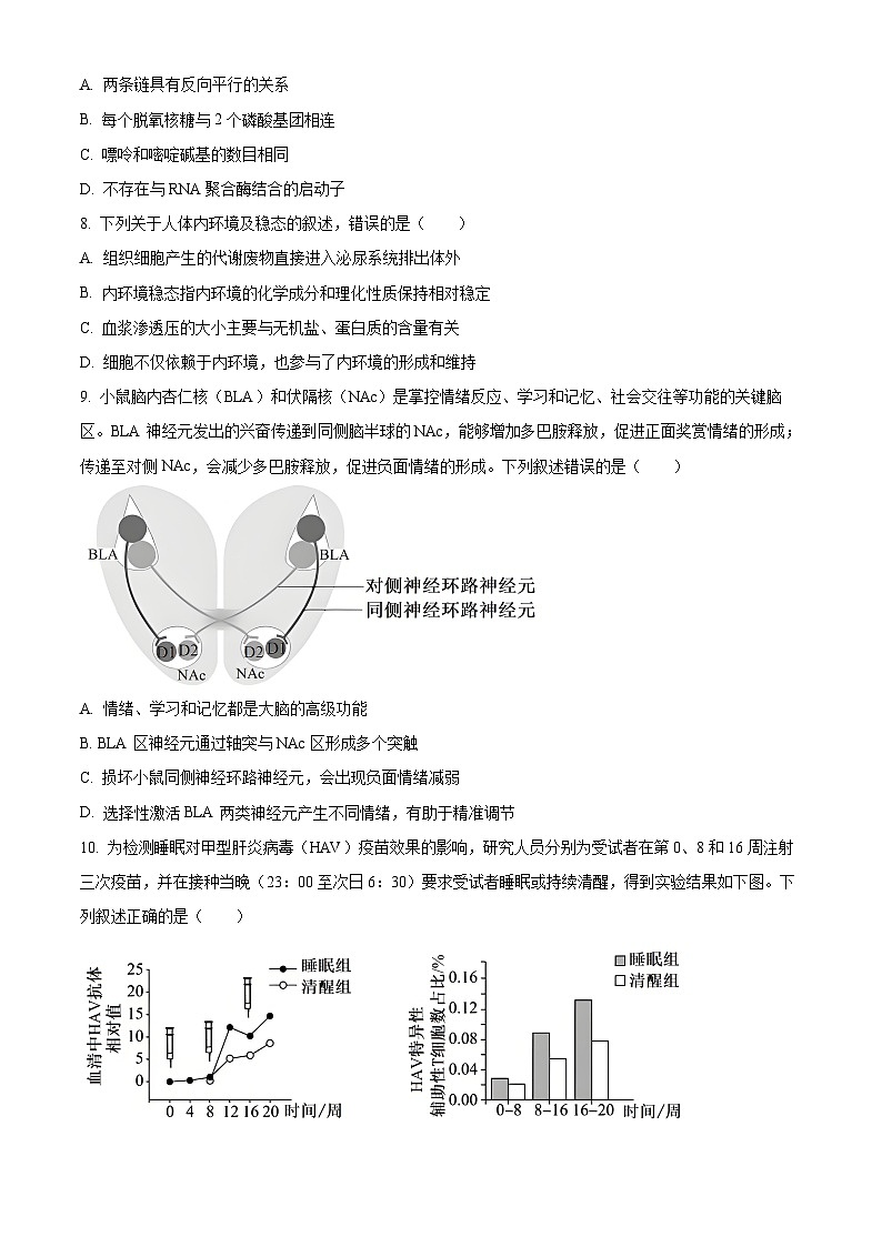 2025届北京市东城区高三一模生物试题 Word版无答案第3页