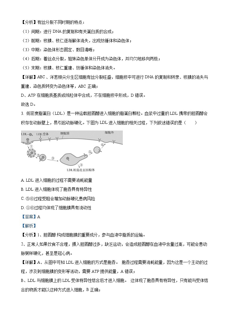 2025届北京市东城区高三一模生物试题 Word版含解析第2页
