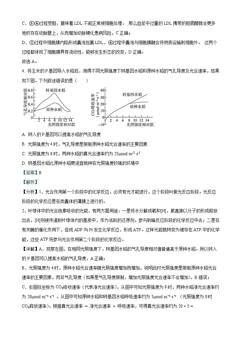 2025届北京市东城区高三一模生物试题 Word版含解析第3页
