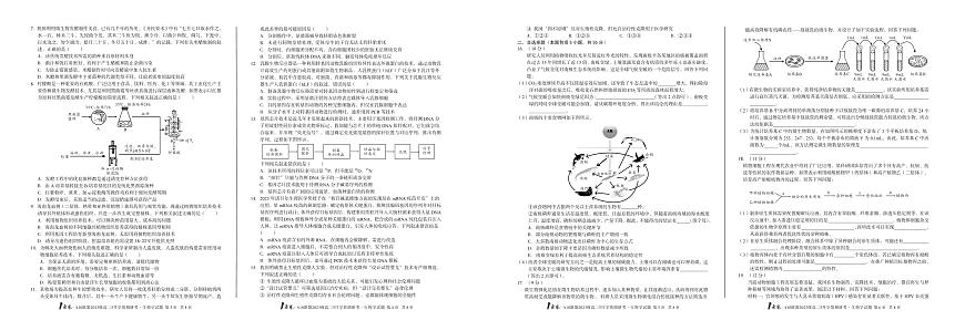 1号卷A10联盟2023级高二5月学情调研考 生物试卷【含答案】第2页