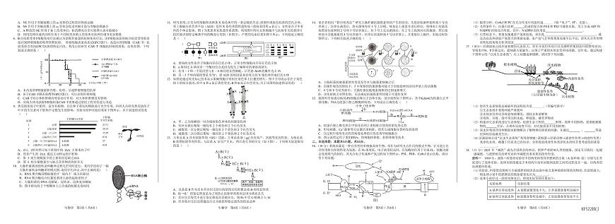 安徽省合肥一中2025届高三最后一卷生物试卷【含答案】第2页