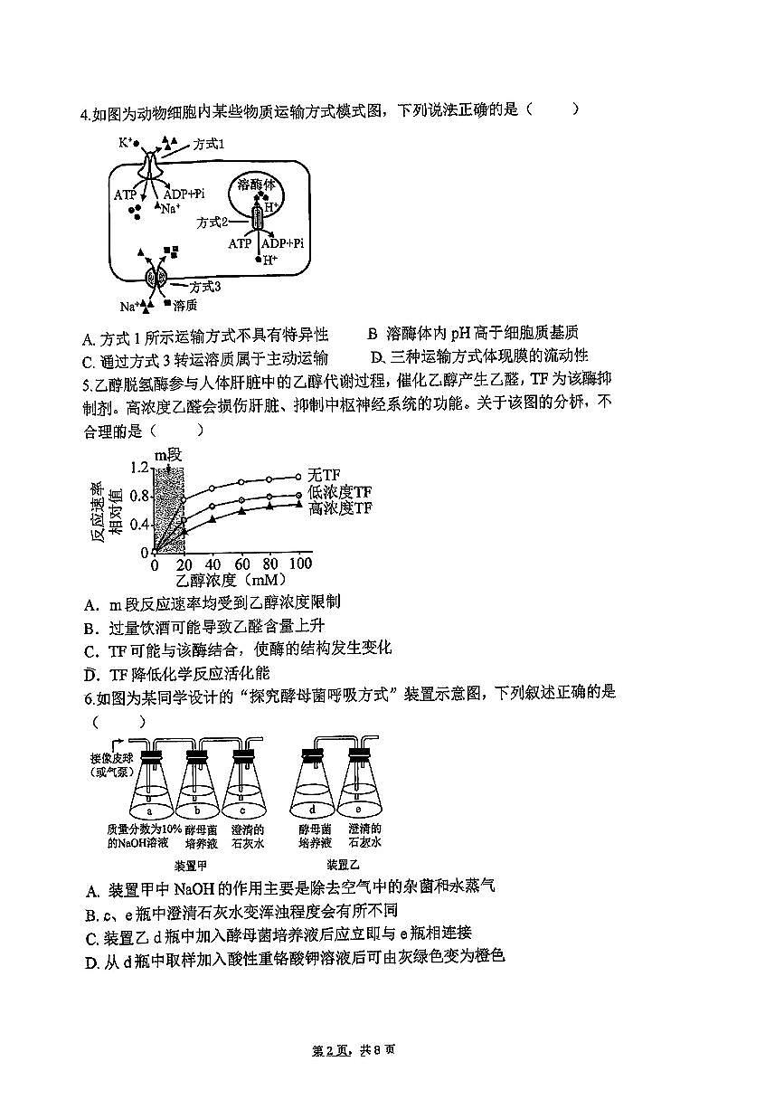 2025北京人大附中高二下6月月考生物（三）试卷第2页