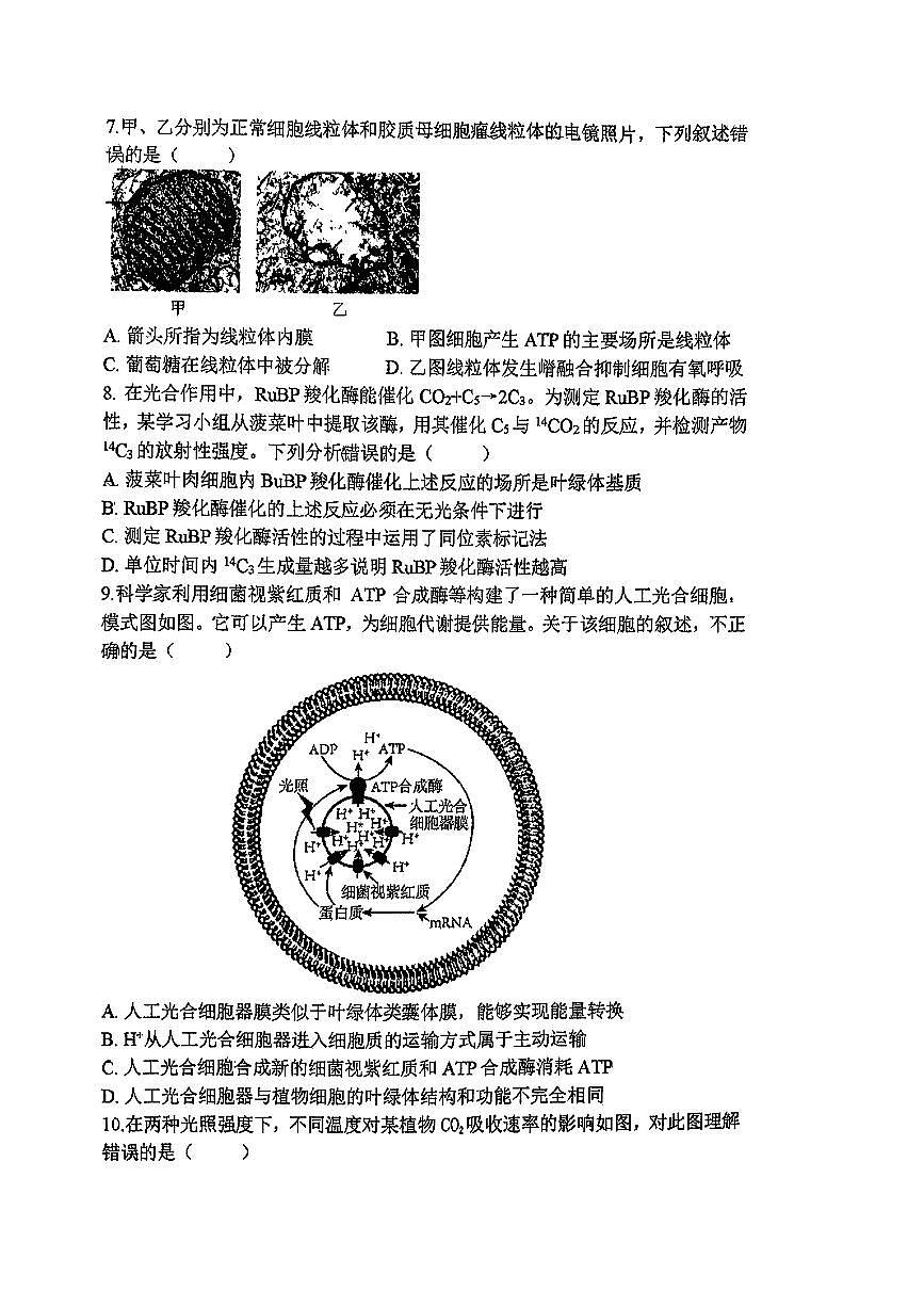 2025北京人大附中高二下6月月考生物（三）试卷第3页