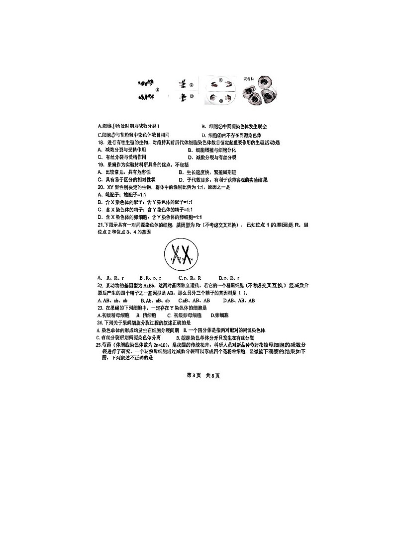 北京市第五十五中学2024-2025学年高一下学期3月月考生物卷（等级考）含答案第3页