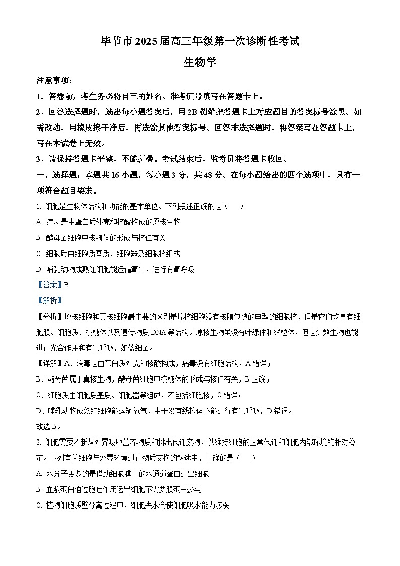贵州省毕节市2024-2025学年高三上学期第一次诊断性考试生物试题  Word版含解析第1页