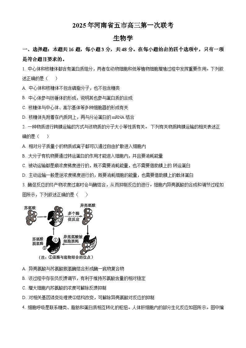 2025届河南省五市高三第一次联考生物试题  Word版无答案第1页