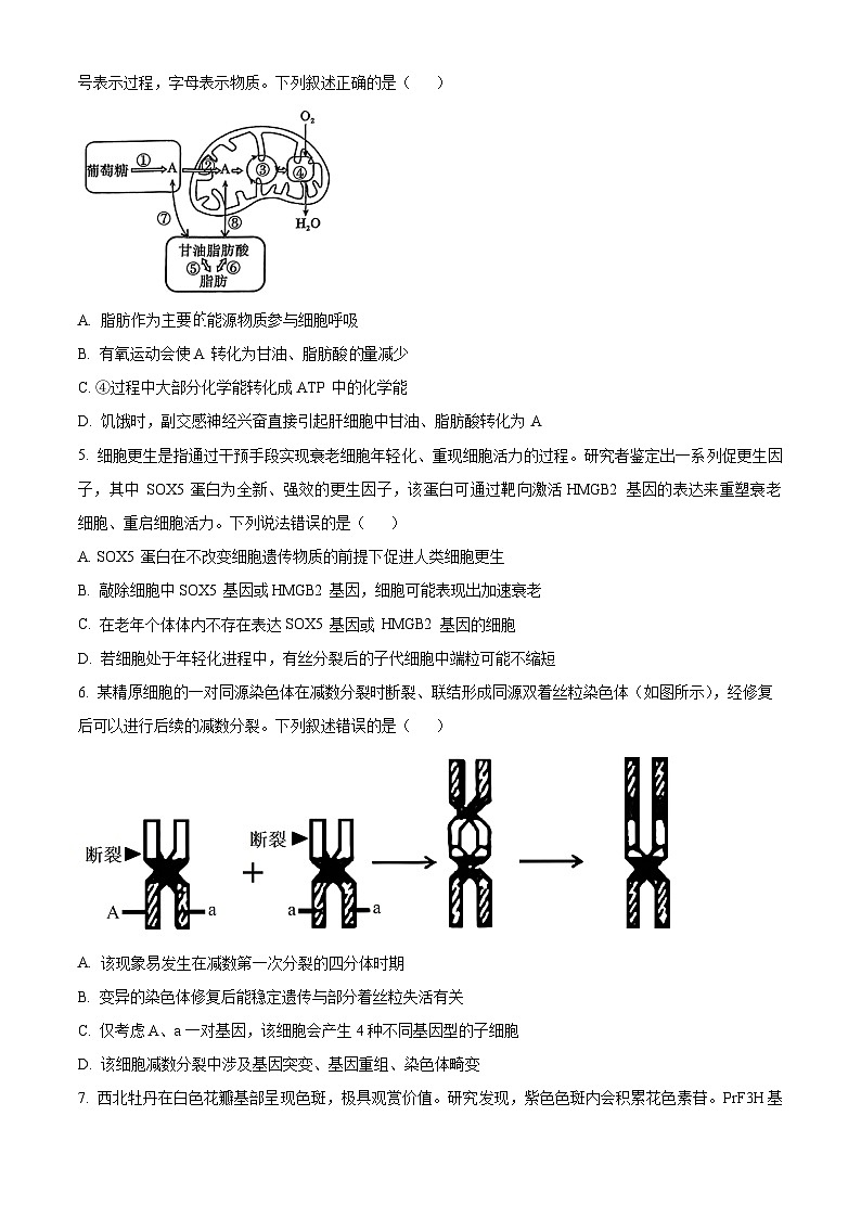 2025届河南省五市高三第一次联考生物试题  Word版无答案第2页
