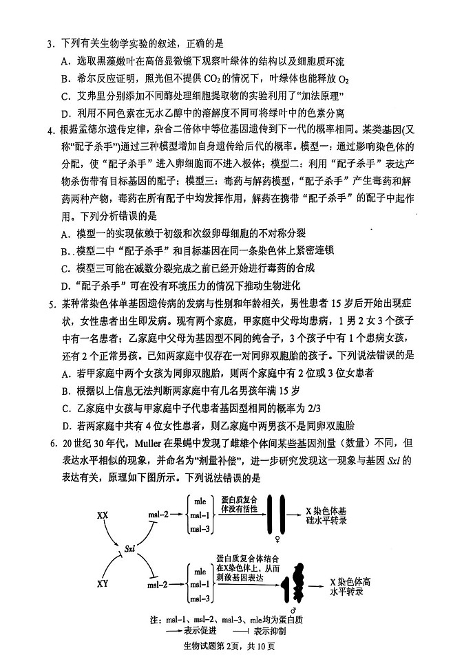 2025届山东省实验中学高三下学期第四次诊断考试-生物试题（答案）第2页