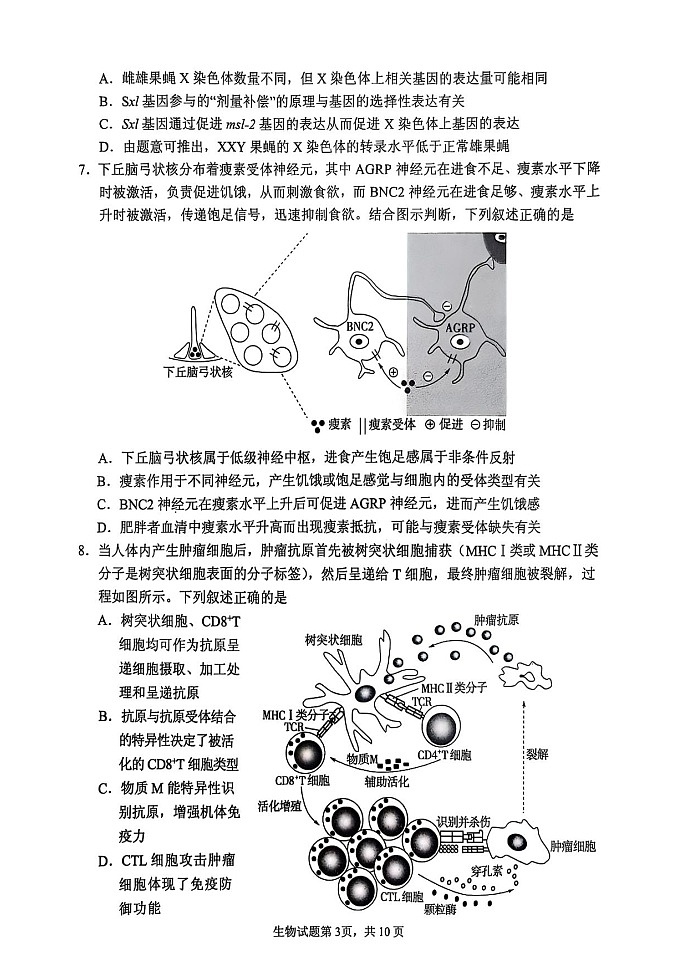 2025届山东省实验中学高三下学期第四次诊断考试-生物试题（答案）第3页
