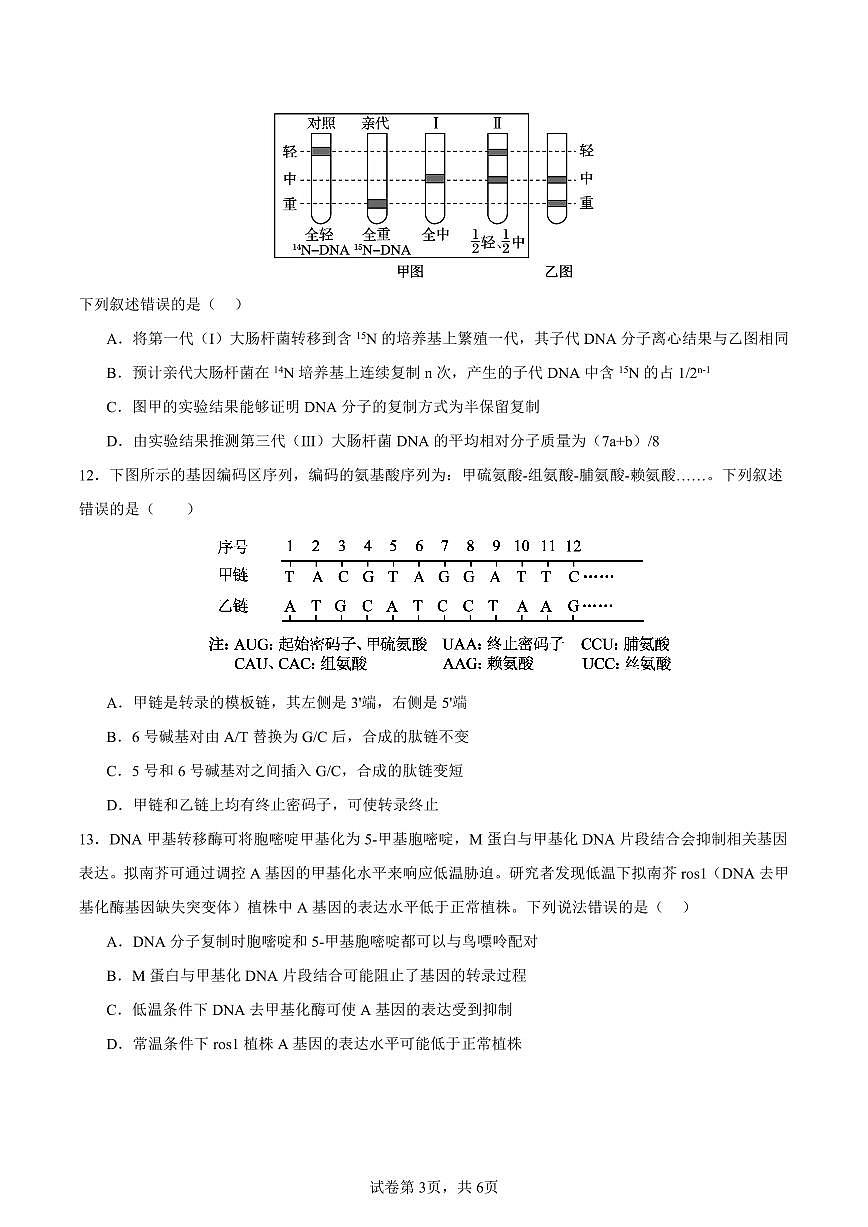 四川省眉山市仁寿县第一中学校（北校区）2024-2025学年高一下学期6月期末生物试题第3页