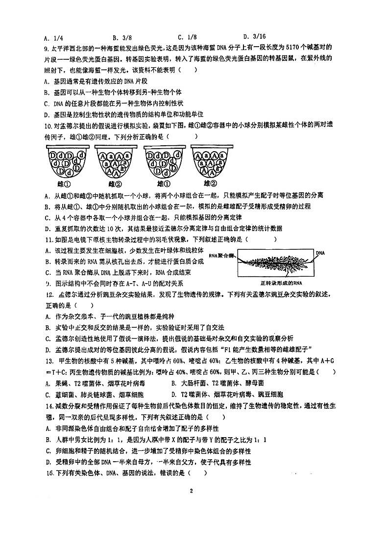 福建省泉州市第七中学2023-—2024学年高一下学期期中考试生物试题第2页