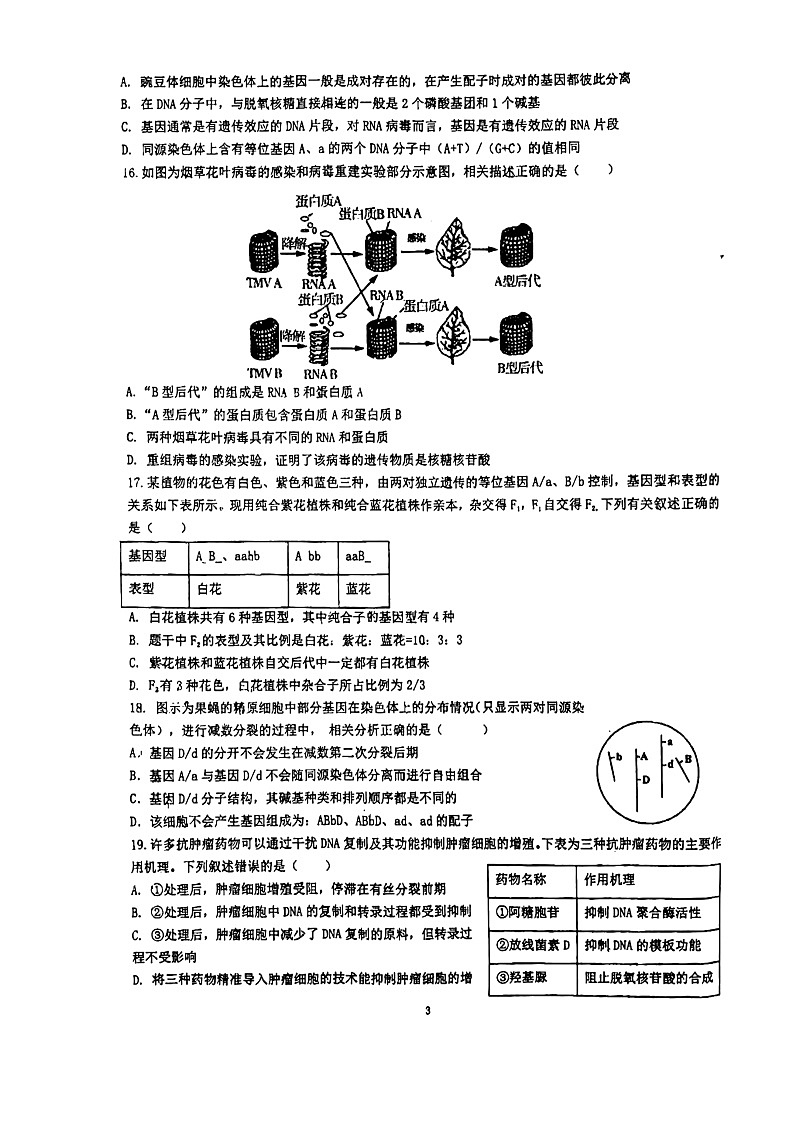 福建省泉州市第七中学2023-—2024学年高一下学期期中考试生物试题第3页