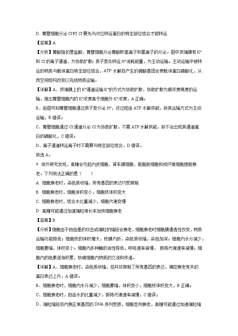 广东省揭阳市2023-2024学年高一下学期期末统考生物试卷（解析版）第3页