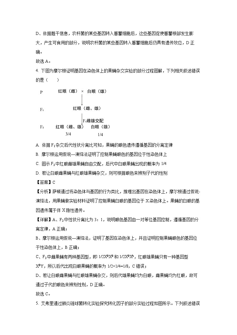 广西壮族自治区“名校联盟”2024-2025学年高一下学期5月联合模拟考试生物试卷（解析版）第3页