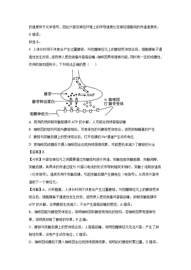 陕西省西安市新城区2024-2025学年高二上学期1月期末生物试卷（解析版）第3页