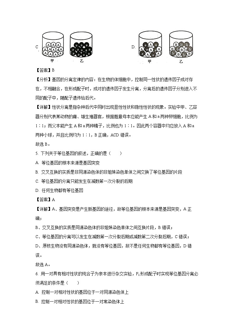 江西省南昌市2024-2025学年高一下学期3月月考模拟卷生物试卷（解析版）第3页