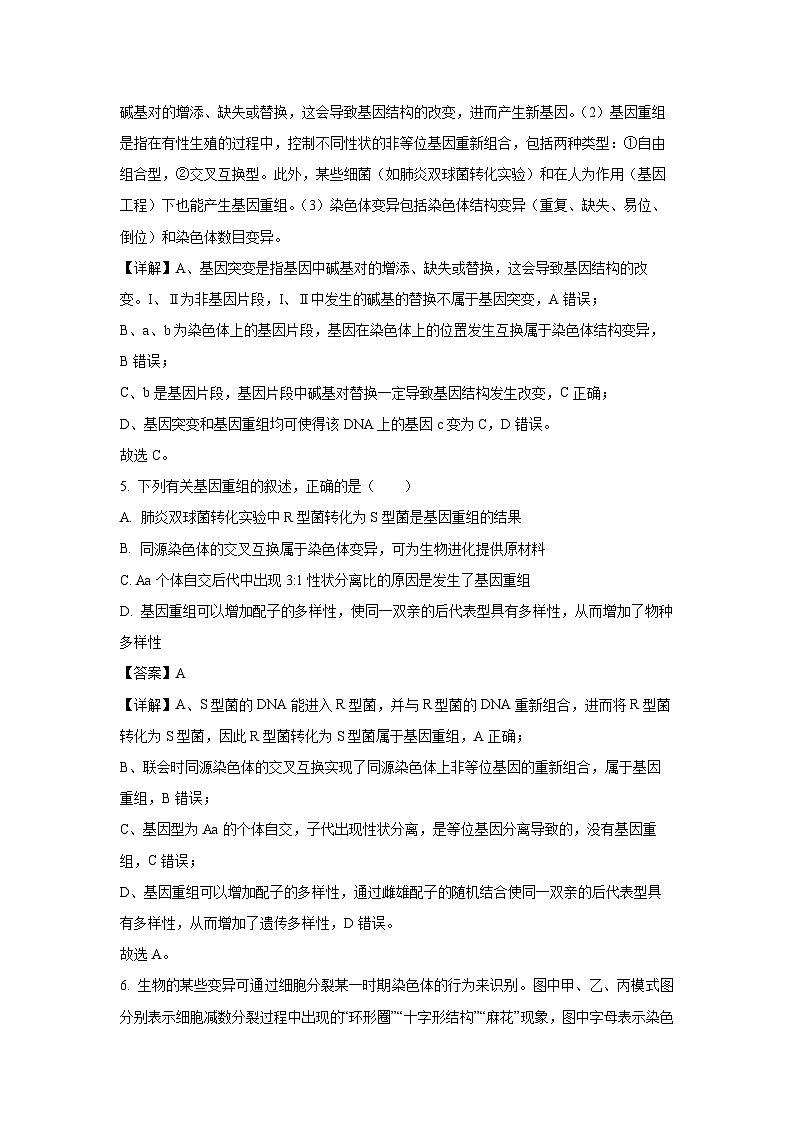 江苏省徐州市沛县2024-2025学年高一下学期5月月考生物试卷（解析版）第3页
