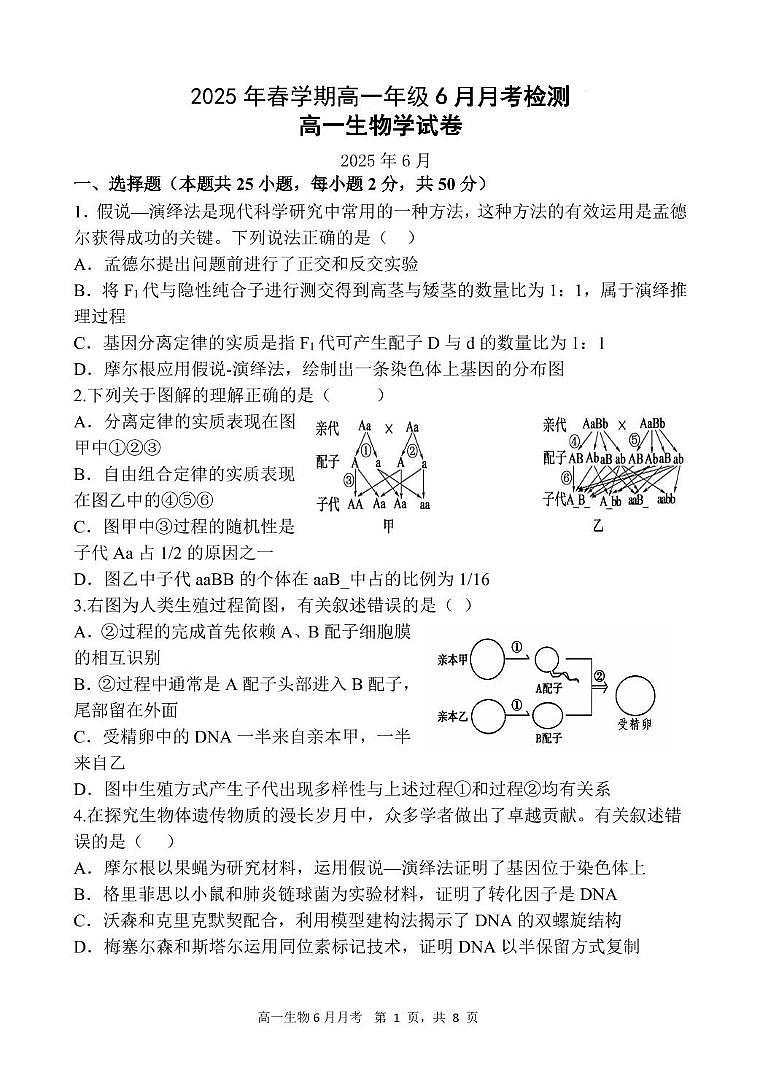 甘肃省张掖市某校2024-2025学年高一下学期6月月考生物试卷第1页