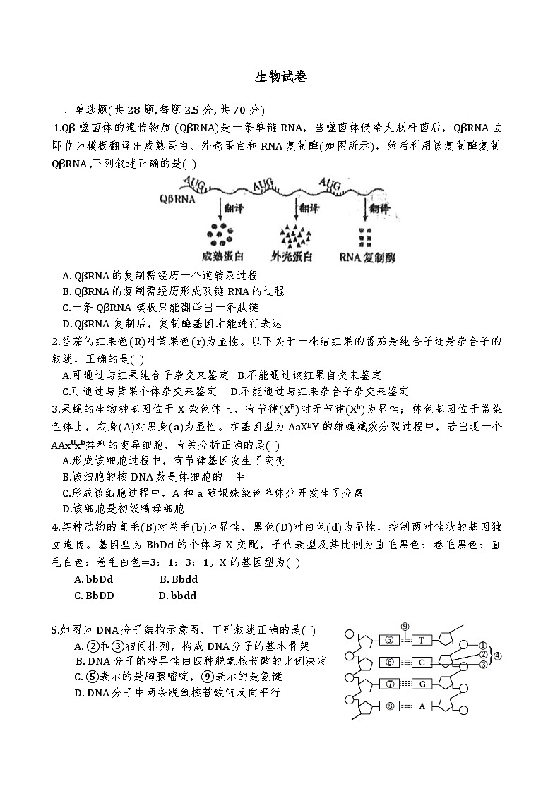 天津市滨海新区天津经济技术开发区第一中学2024-2025学年高一下学期6月月考生物试题第1页