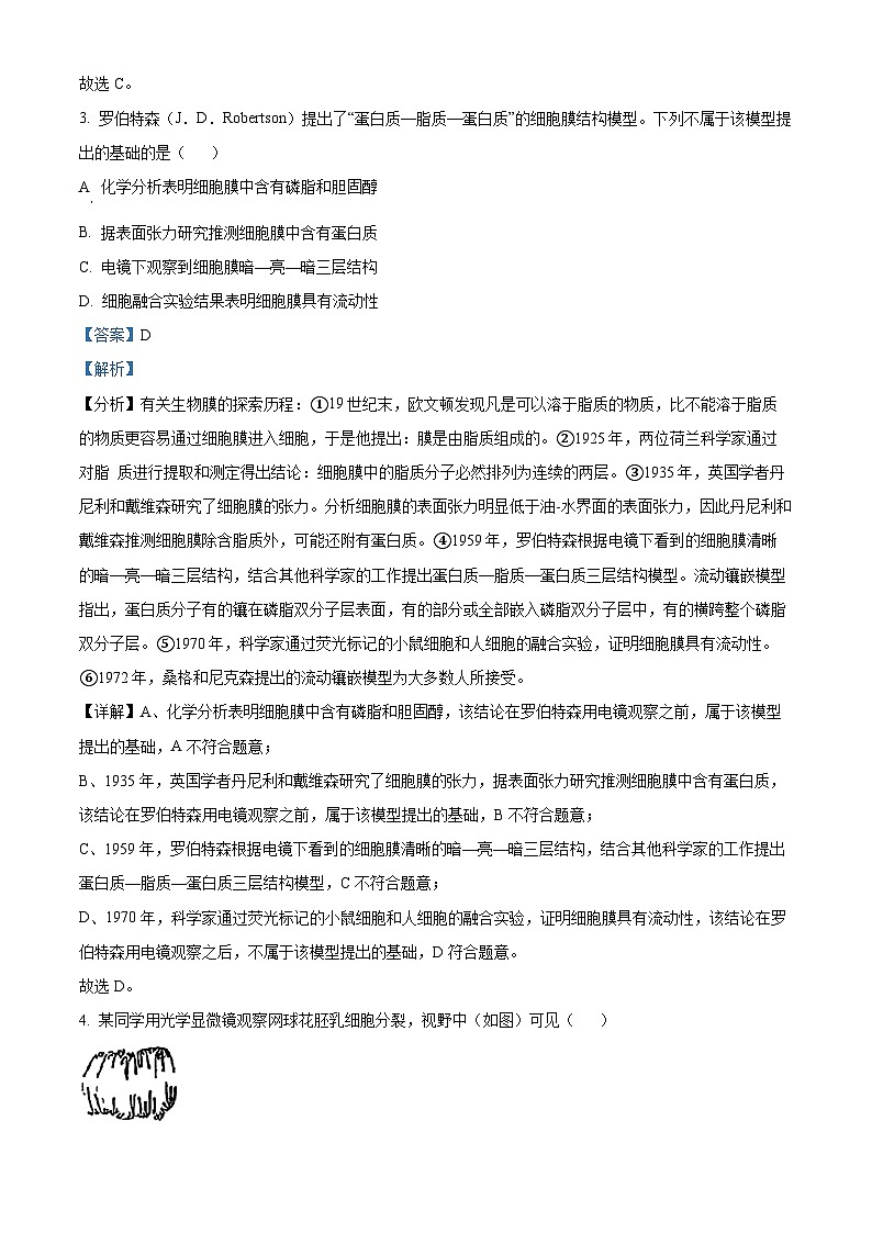 2025年广东省高考生物真题（解析版）第2页