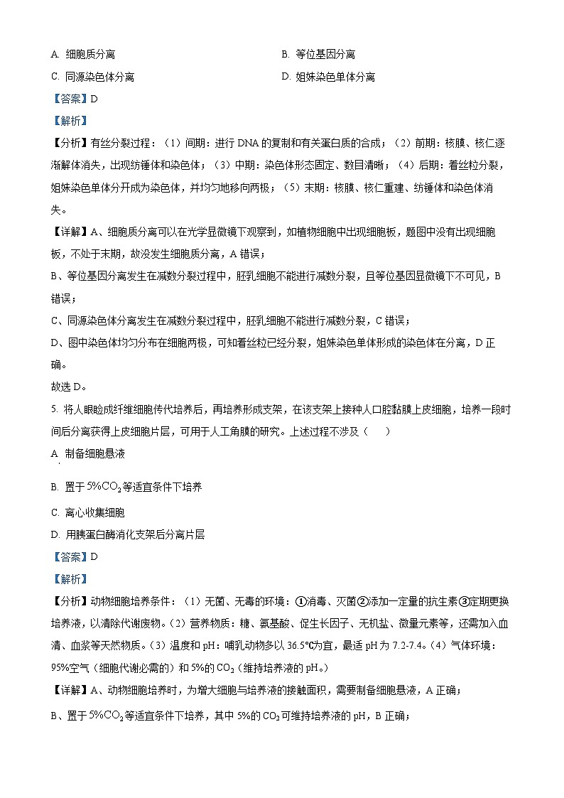 2025年广东省高考生物真题（解析版）第3页
