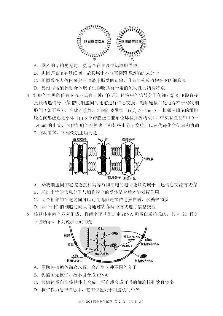 四川省成都市名校联盟2024-2025学年高二下学期期末考试生物试卷第2页