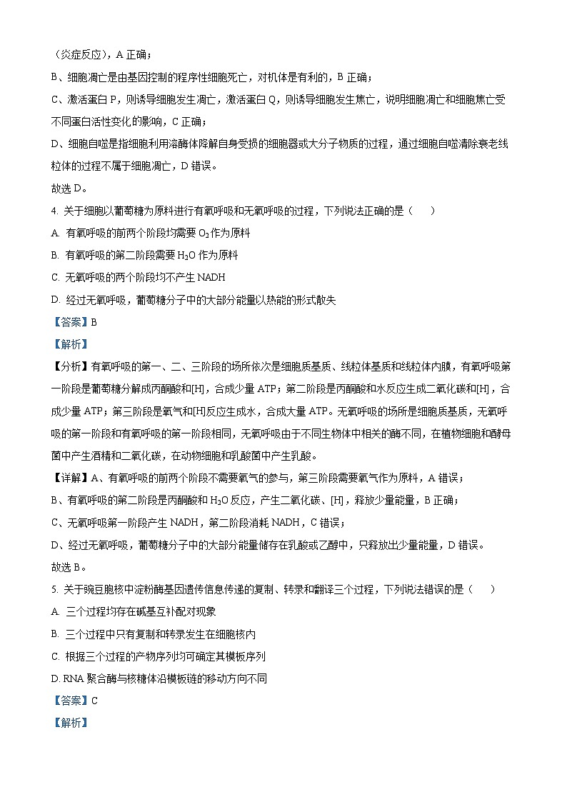 2025年高考山东卷生物真题试卷（解析版）第3页