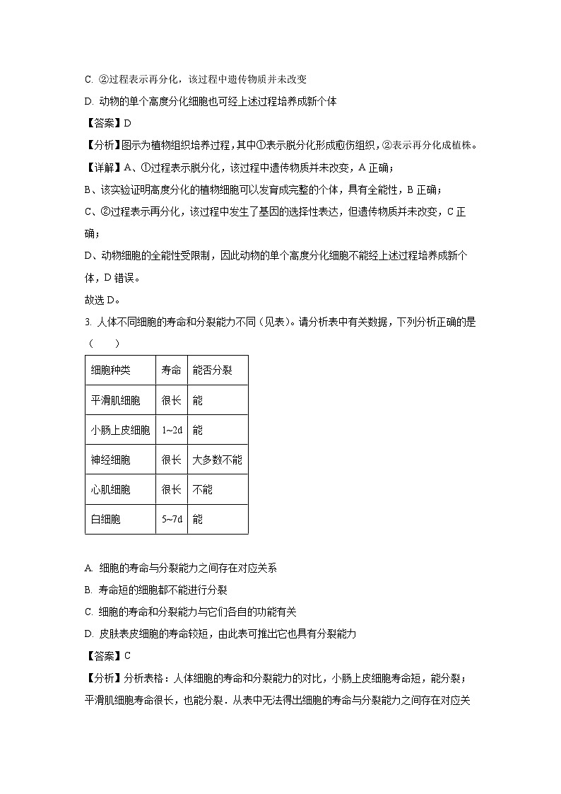 辽宁省铁岭市2024-2025学年高一下3月月考（模拟卷）生物试卷（解析版）第2页