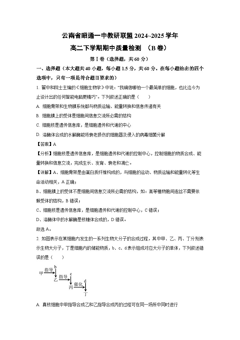 云南省昭通一中教研联盟2024~2025学年高二下期中质量检测 （B卷）生物试卷（解析版）第1页