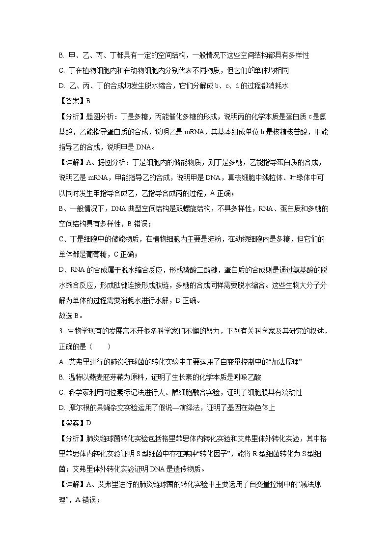 云南省昭通一中教研联盟2024~2025学年高二下期中质量检测 （B卷）生物试卷（解析版）第2页