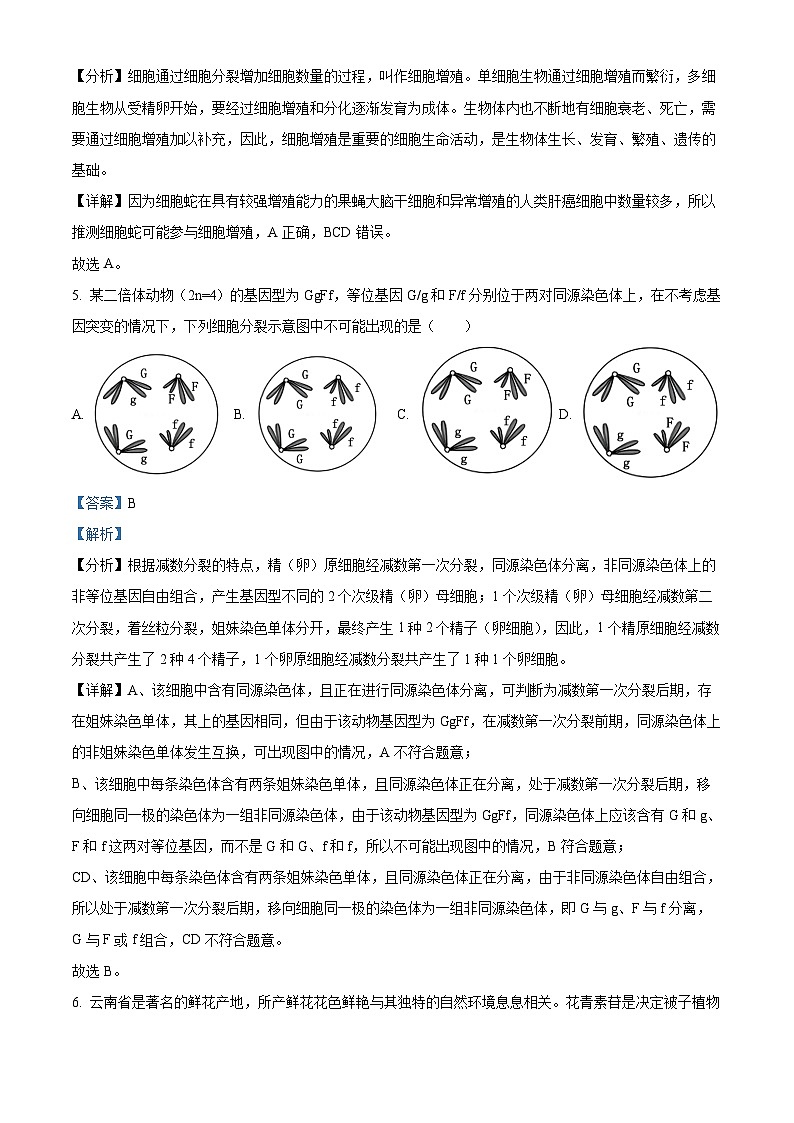 2025高考云南卷生物真题（解析版）第3页