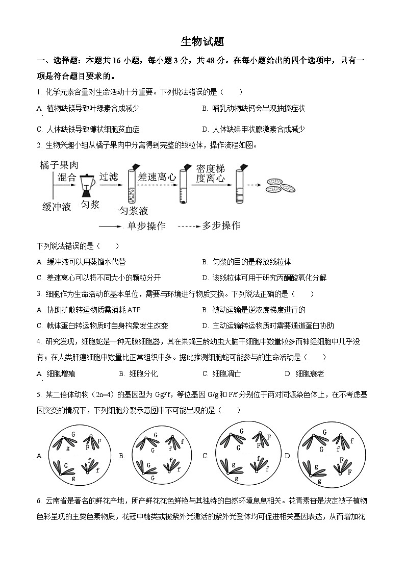 2025高考云南卷生物真题（原卷版）第1页