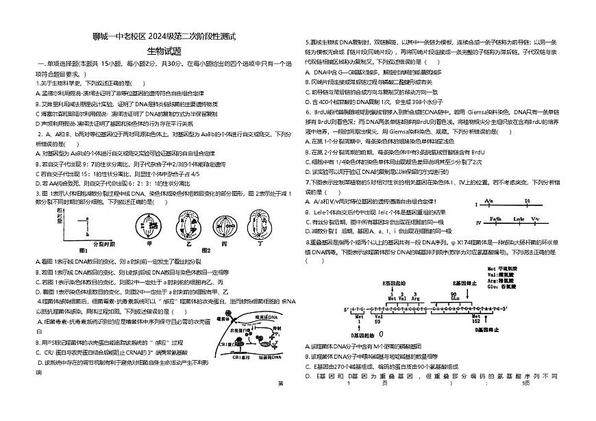 山东省聊城第一中学2024-2025学年高一下学期第二次月考生物试卷（Word版附解析）第1页