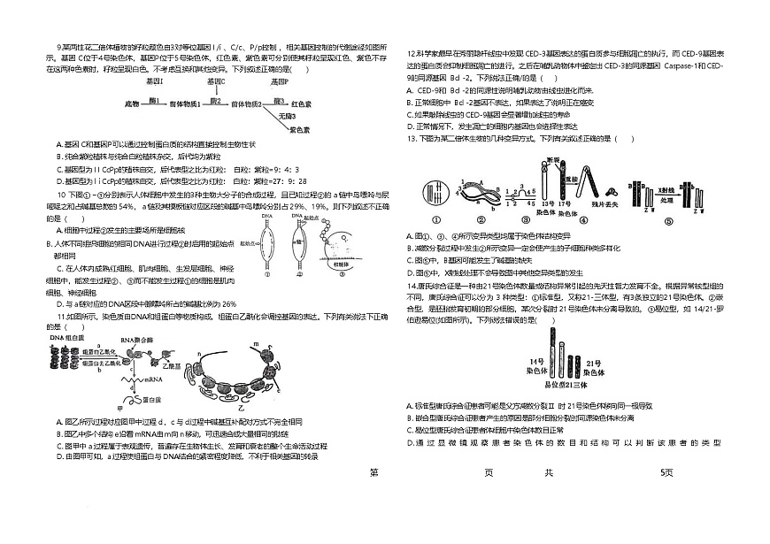 山东省聊城第一中学2024-2025学年高一下学期第二次月考生物试卷（Word版附解析）第2页