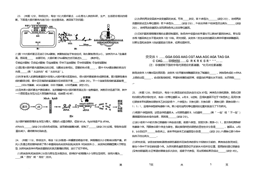 山东省聊城第一中学2024-2025学年高一下学期第二次月考生物试卷（Word版附解析）第3页