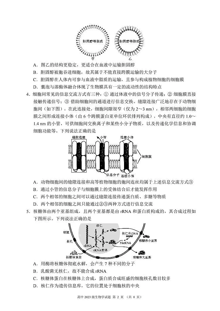 四川省成都市蓉城名校联盟2025届新高二下学期期末考试-生物试题+答案第2页