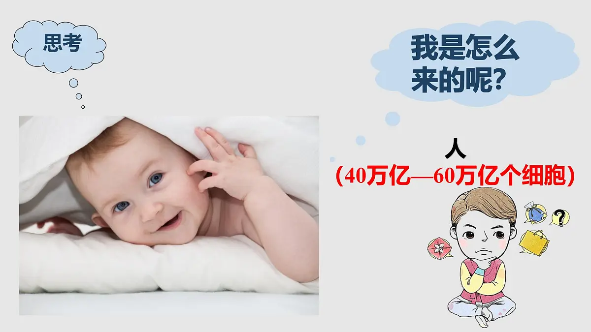 第6章 第1节 细胞的增殖 第1课时课件第3页