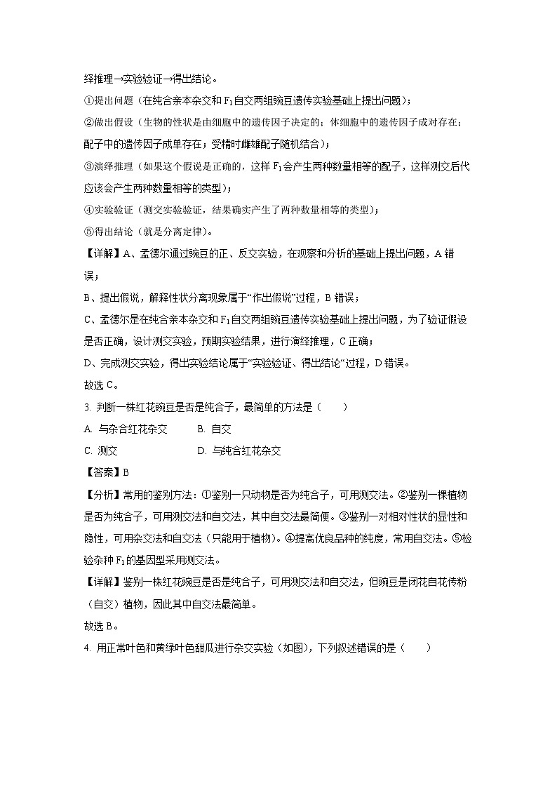 【生物】河北省辛集市2023-2024学年高一下学期7月期末考试试题（解析版）第2页